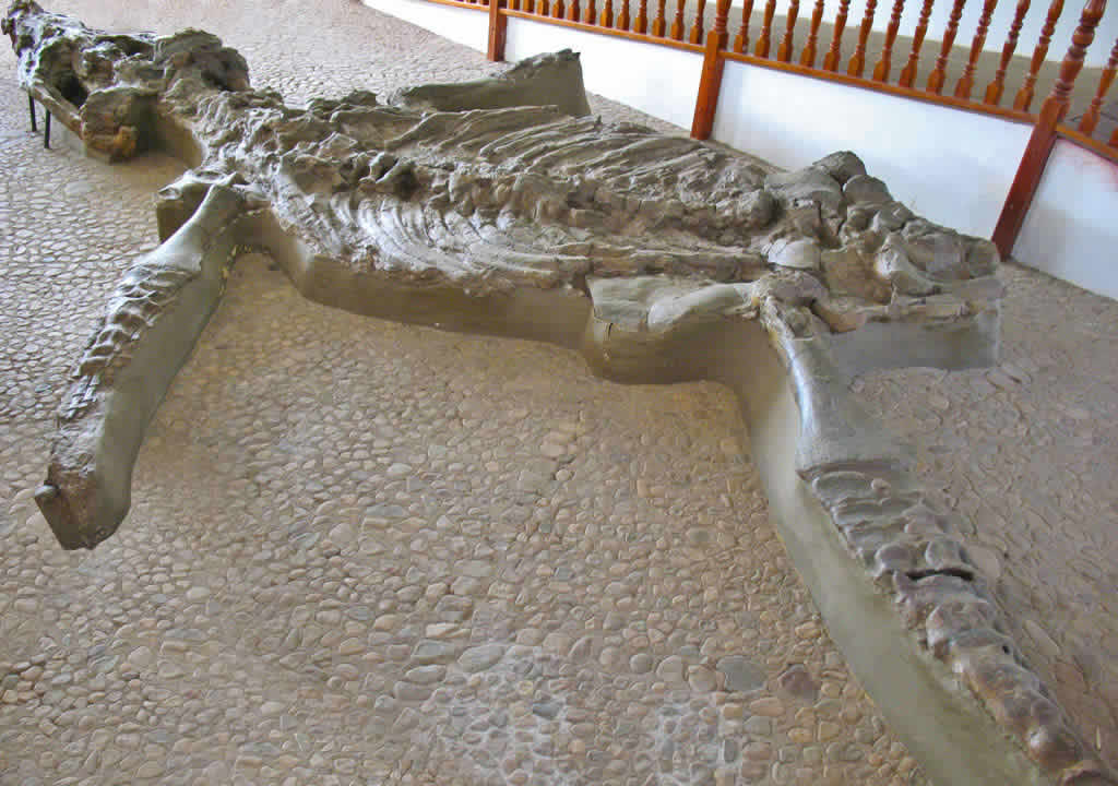 Cronosaurio de Villa de Leyva